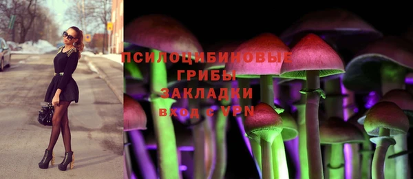 дмт Бронницы