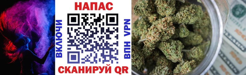 блэк спрут ссылки Гусев Конопля SATIVA & INDICA